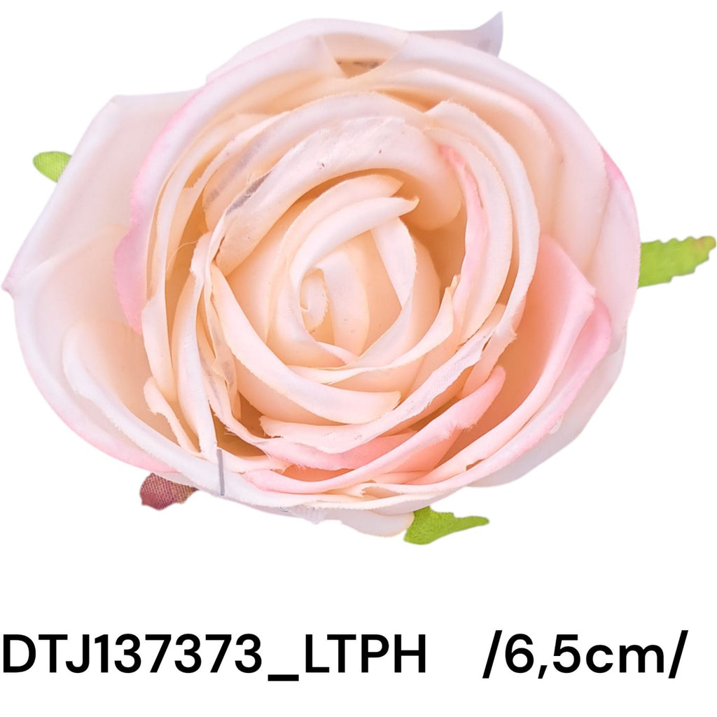 DTJ137373_LTPH