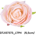 DTJ137373_LTPH
