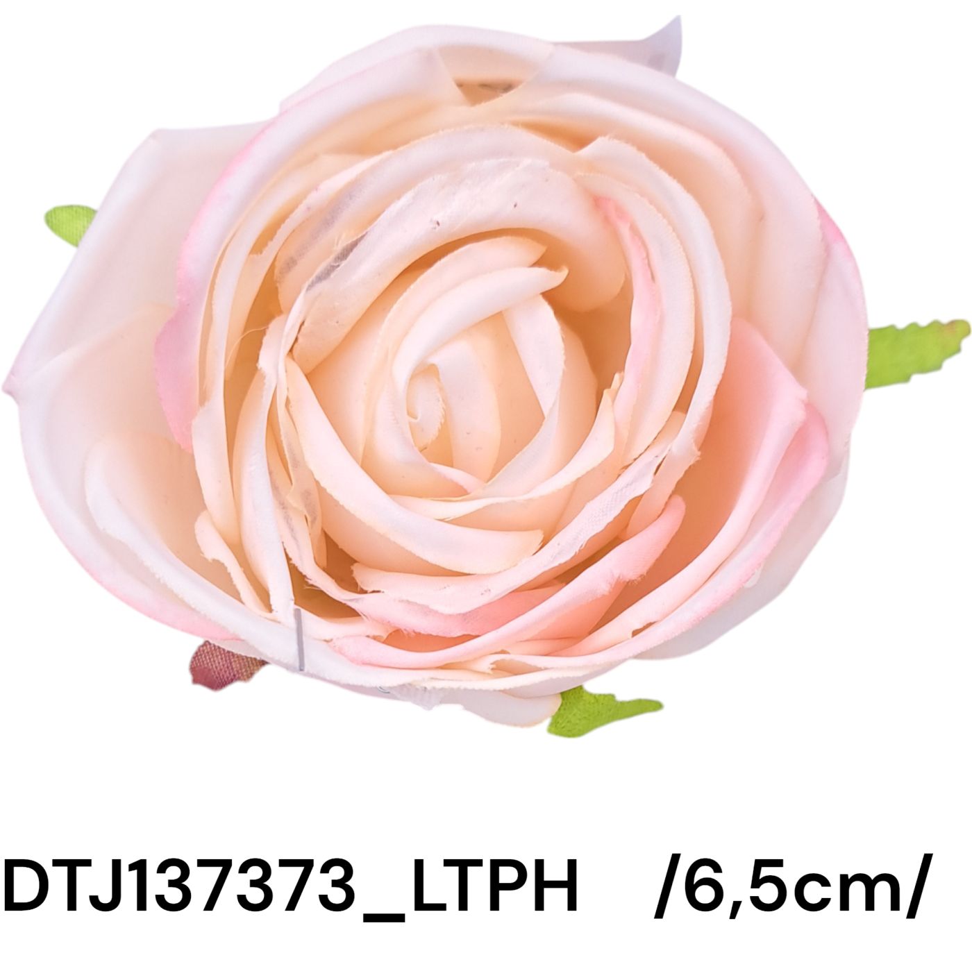 DTJ137373_LTPH