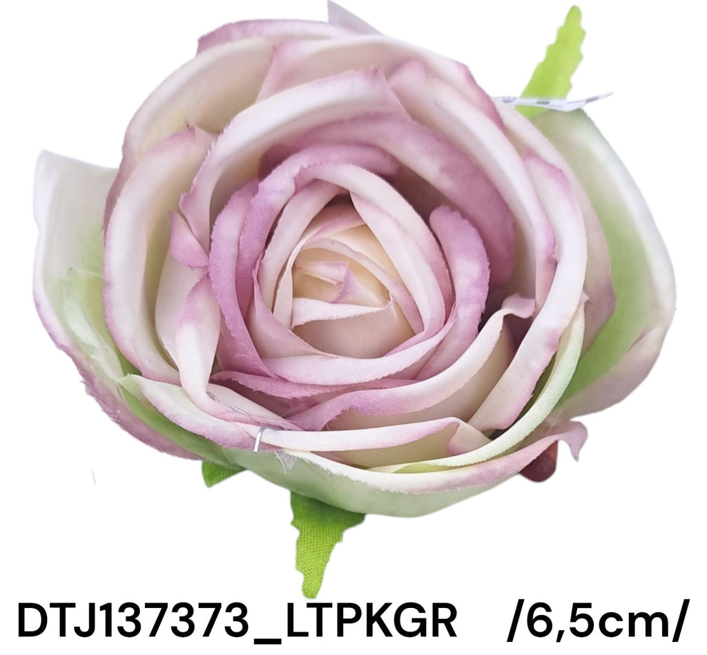 DTJ137373_LTPKGR