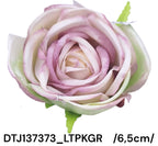 DTJ137373_LTPKGR