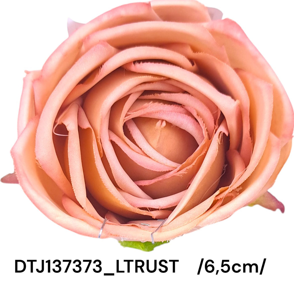 DTJ137373_LTRUST