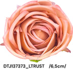 DTJ137373_LTRUST