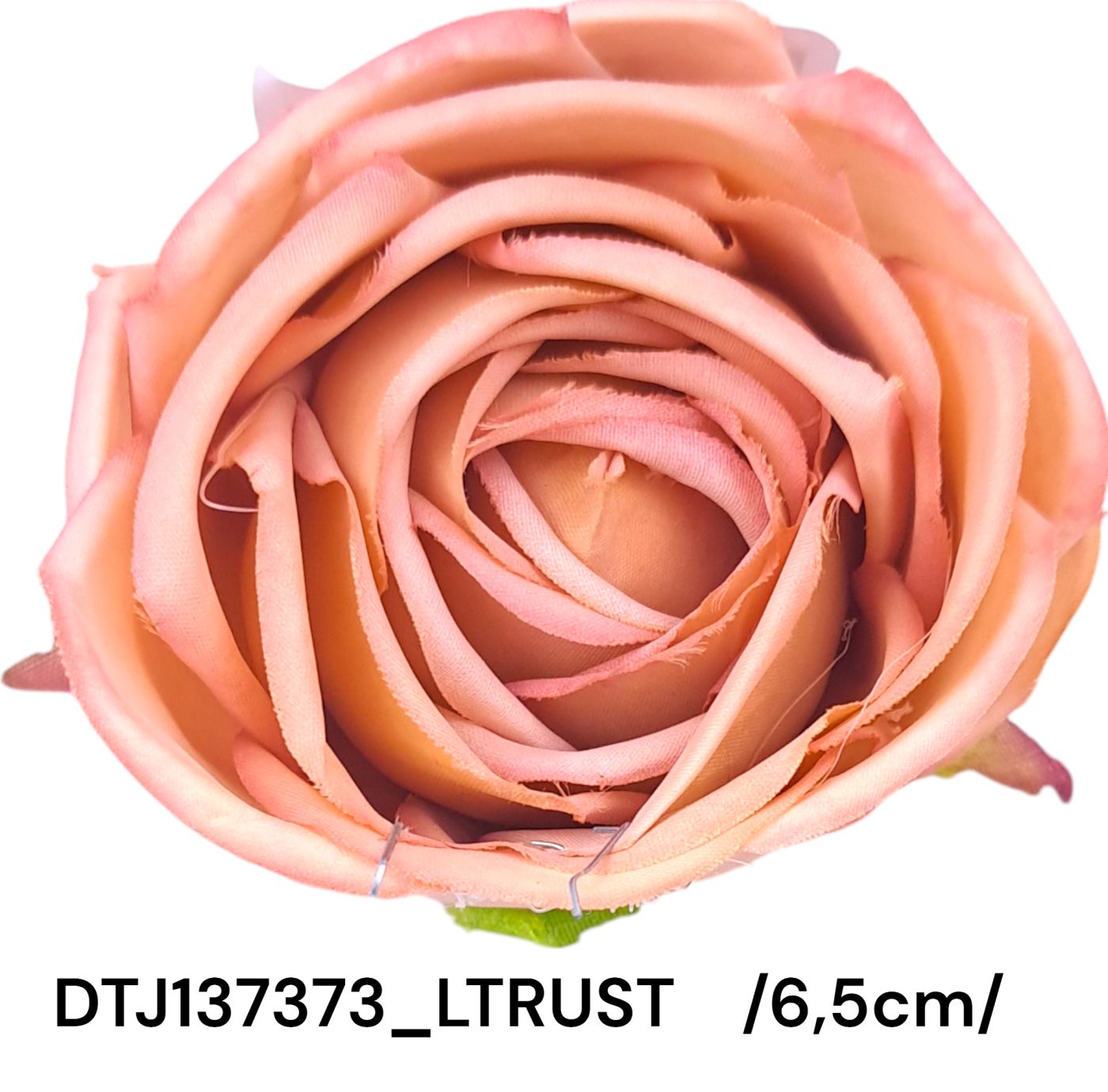 DTJ137373_LTRUST