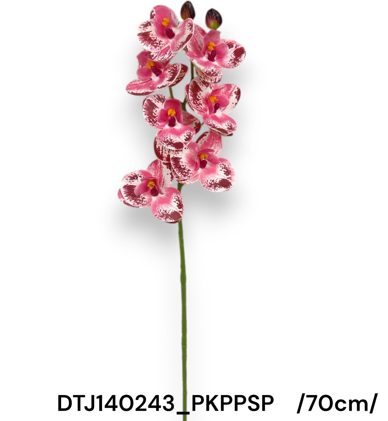 DTJ140243_PKPPSP