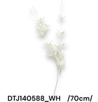 DTJ140588_WH