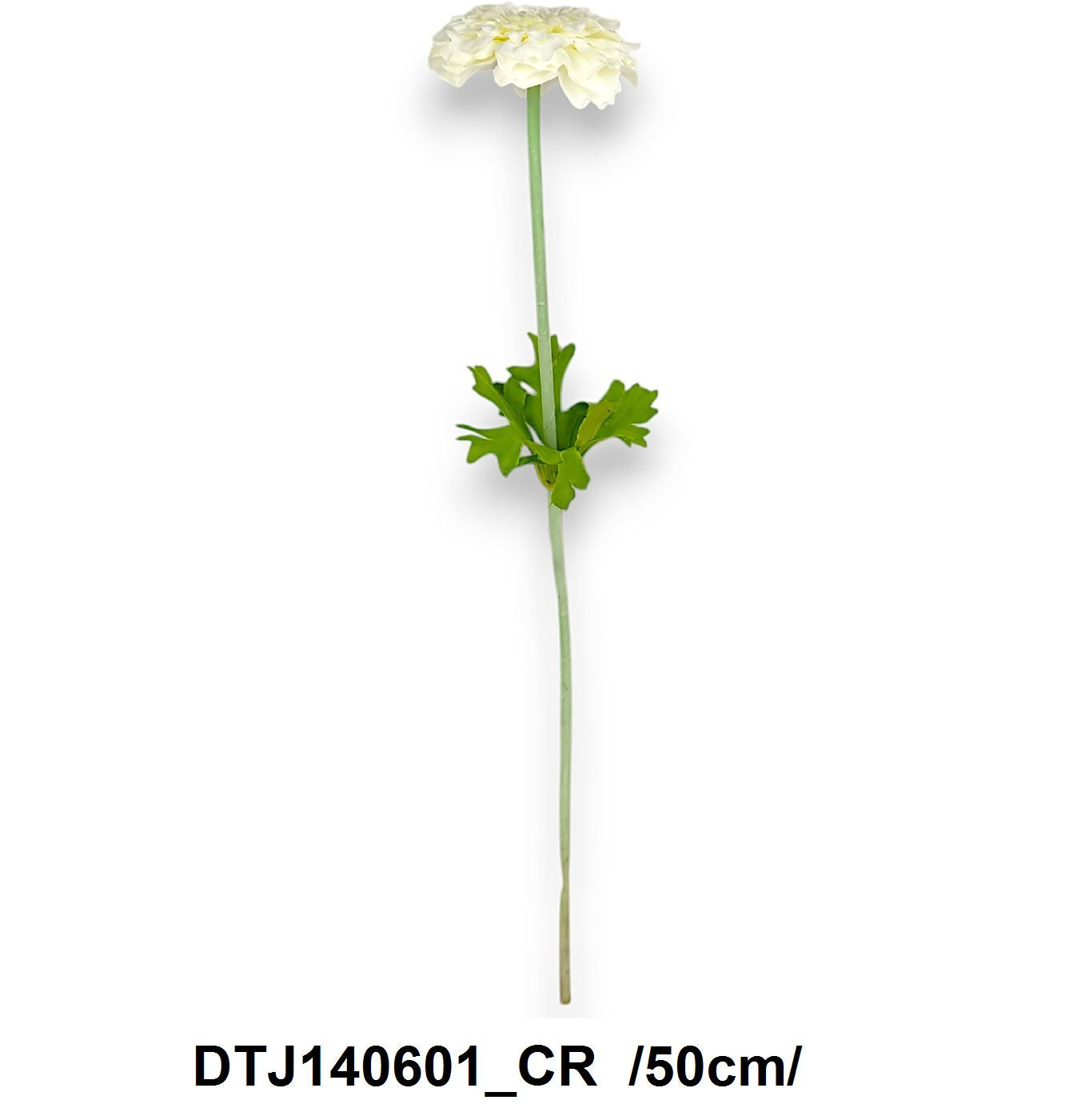 50 cm flokkolt szárú lapos fejû dália szál
