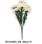 DTJ141851_CR