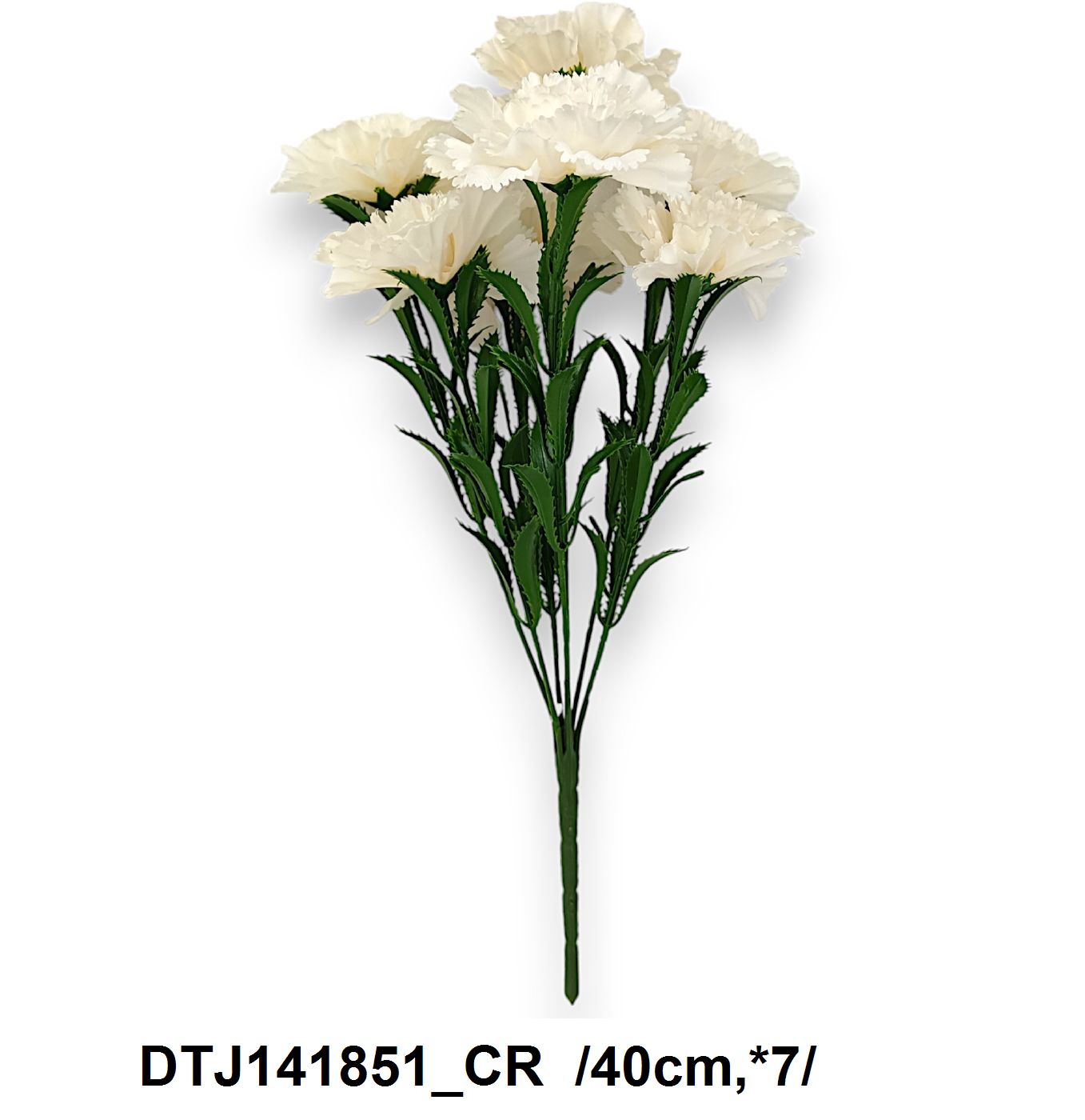 DTJ141851_CR