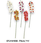 Cymbidium orchidea szál, 11 fejjel /75cm,*11/