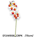 DTJ141936_CRPK