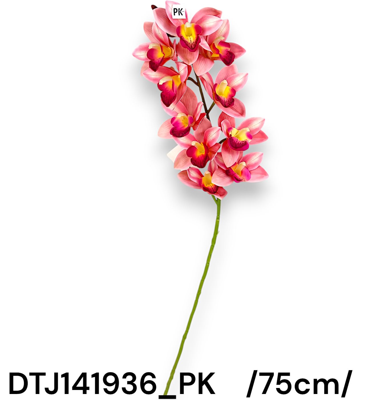 DTJ141936_PK