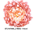 DTJ147099_LTMAU