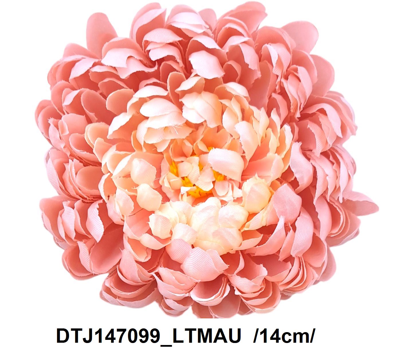 DTJ147099_LTMAU