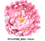 DTJ147099_MAU