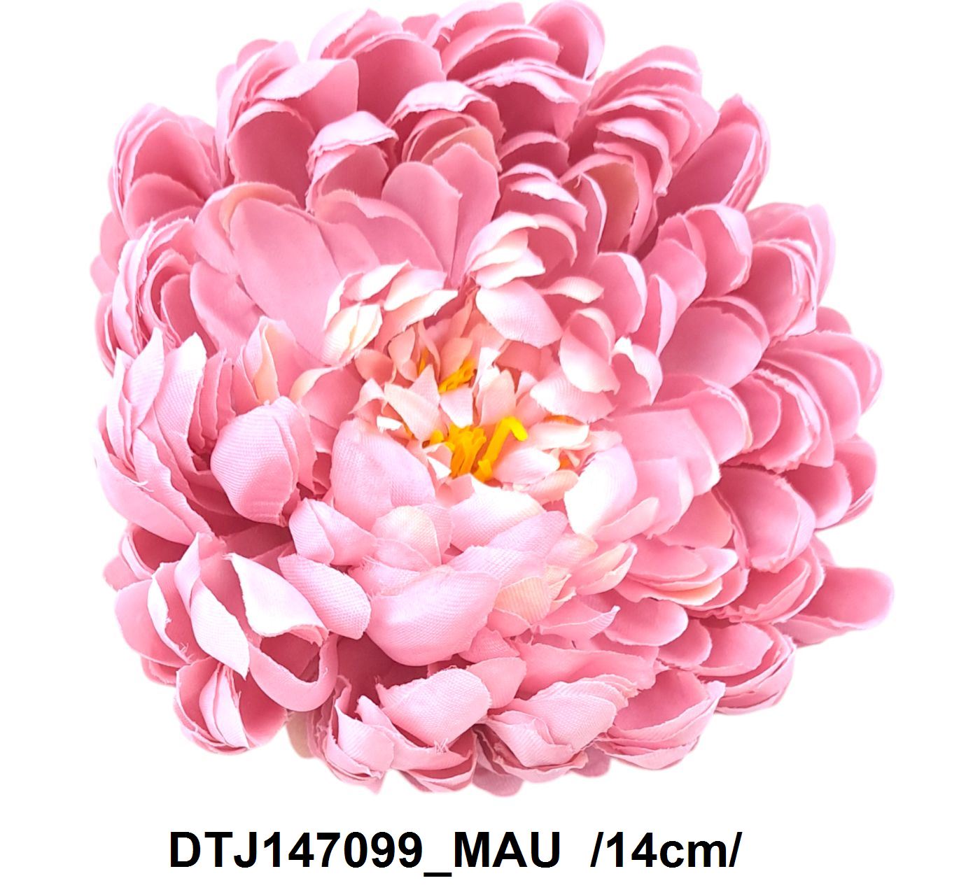 DTJ147099_MAU
