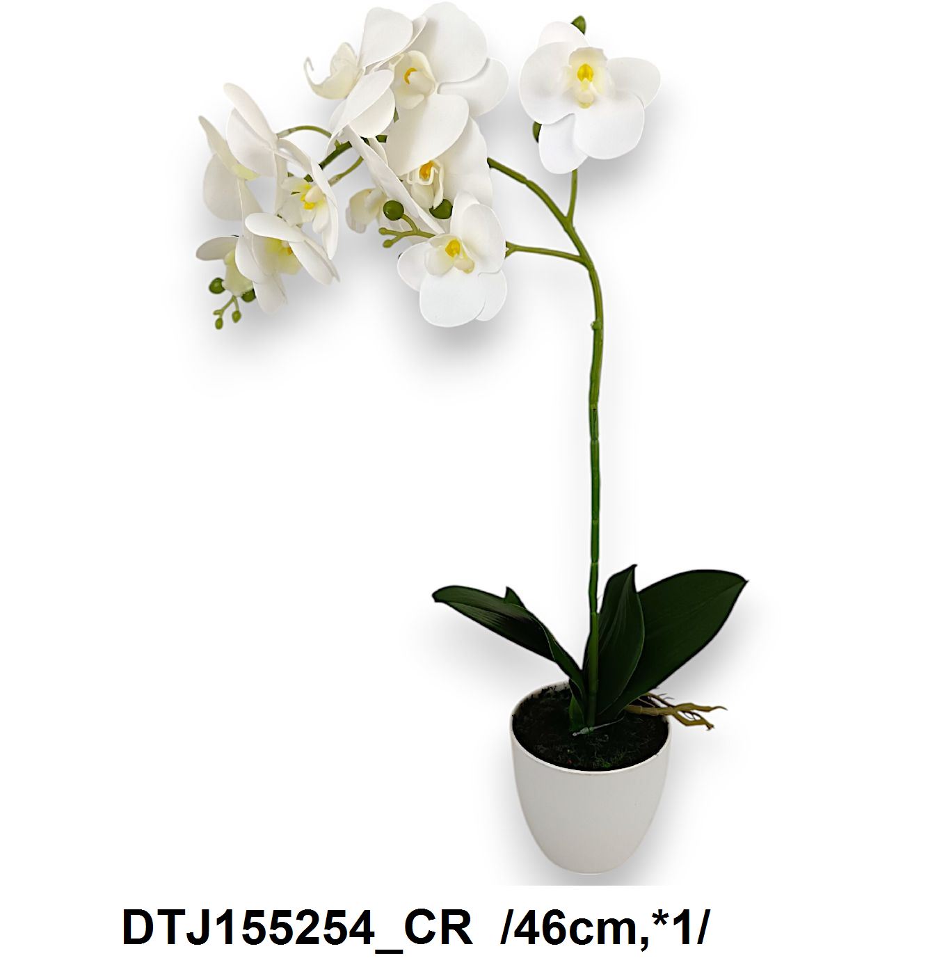 46 cm printelt leveles cserepes orchidea *1+ gyökérzet Fő kép