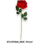 DTJ157845_RED