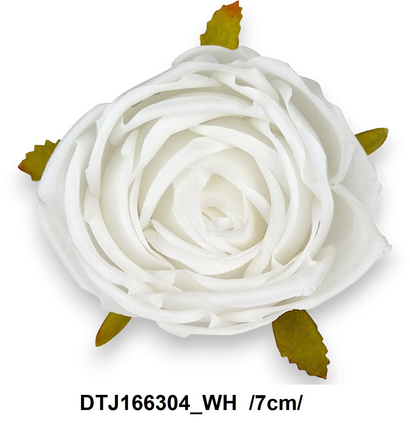 DTJ166304_WH