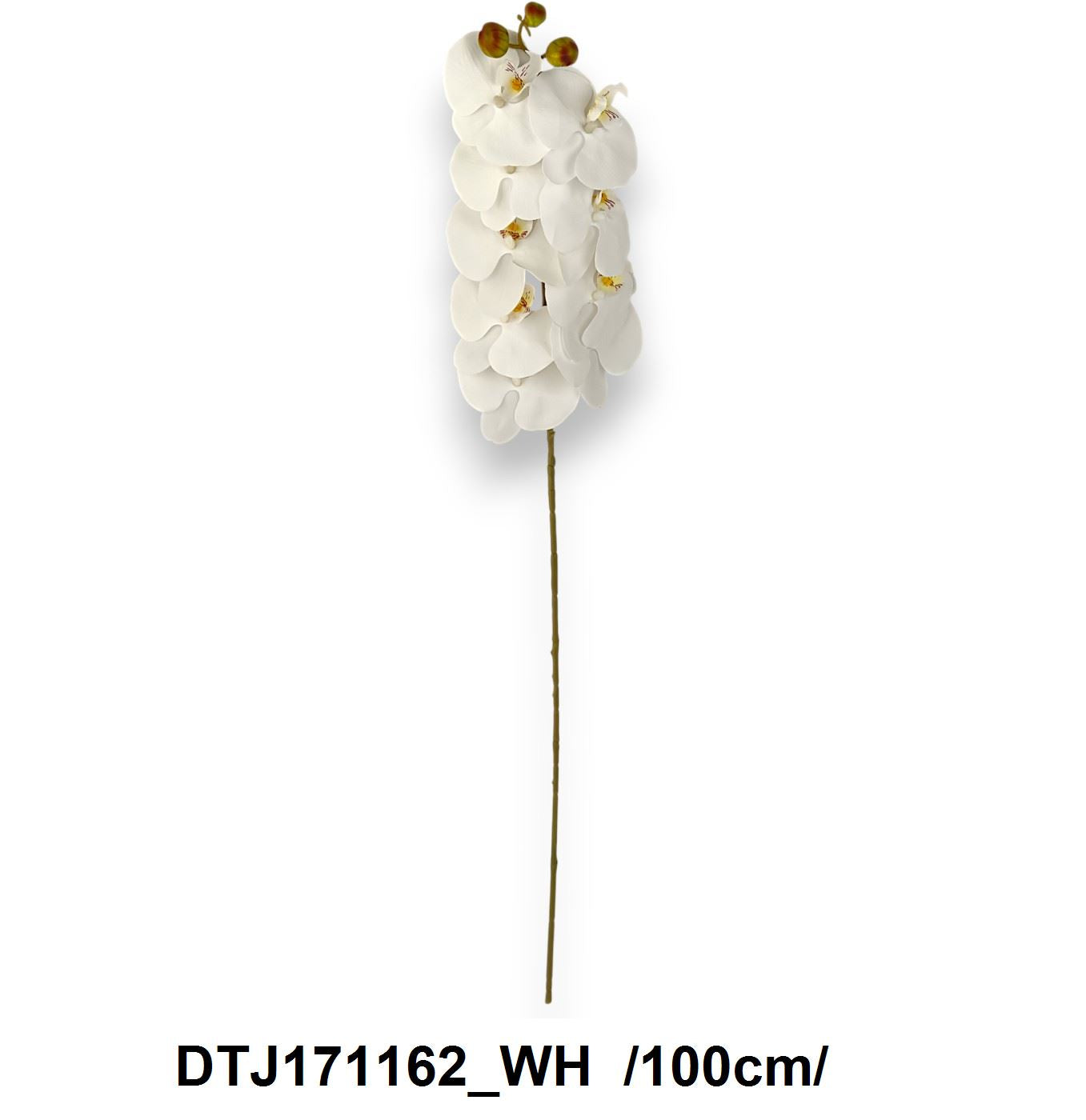 Orchidág, real-touch /100cm/ Fő kép