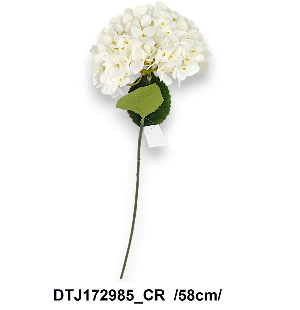 DTJ172985_CR