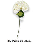 DTJ172985_CR