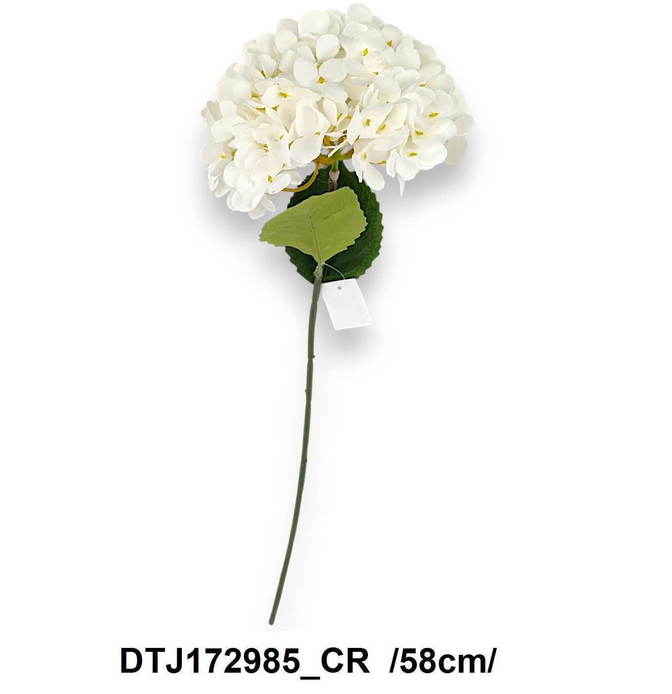 DTJ172985_CR