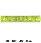 EBR198541_LTGR