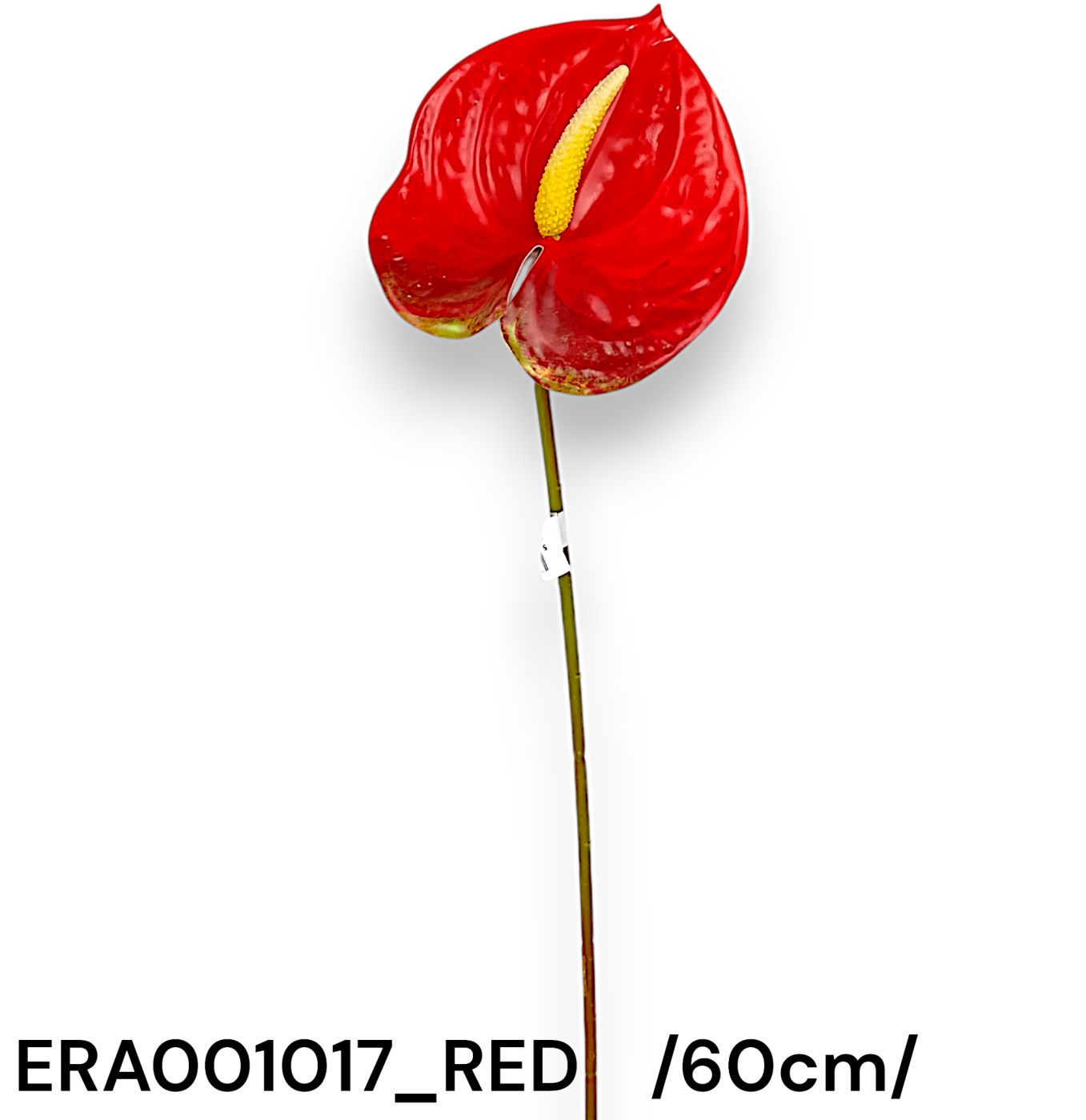 Szálas flamingóvirág, PVC /60cm/