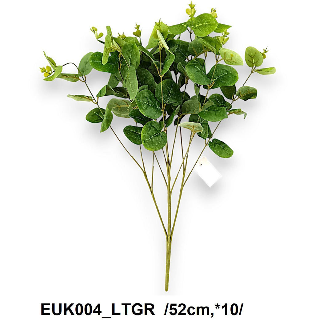 Eukaliptusz bokor /52cm,*10/