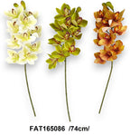 Cymbidium orchidea /74cm/