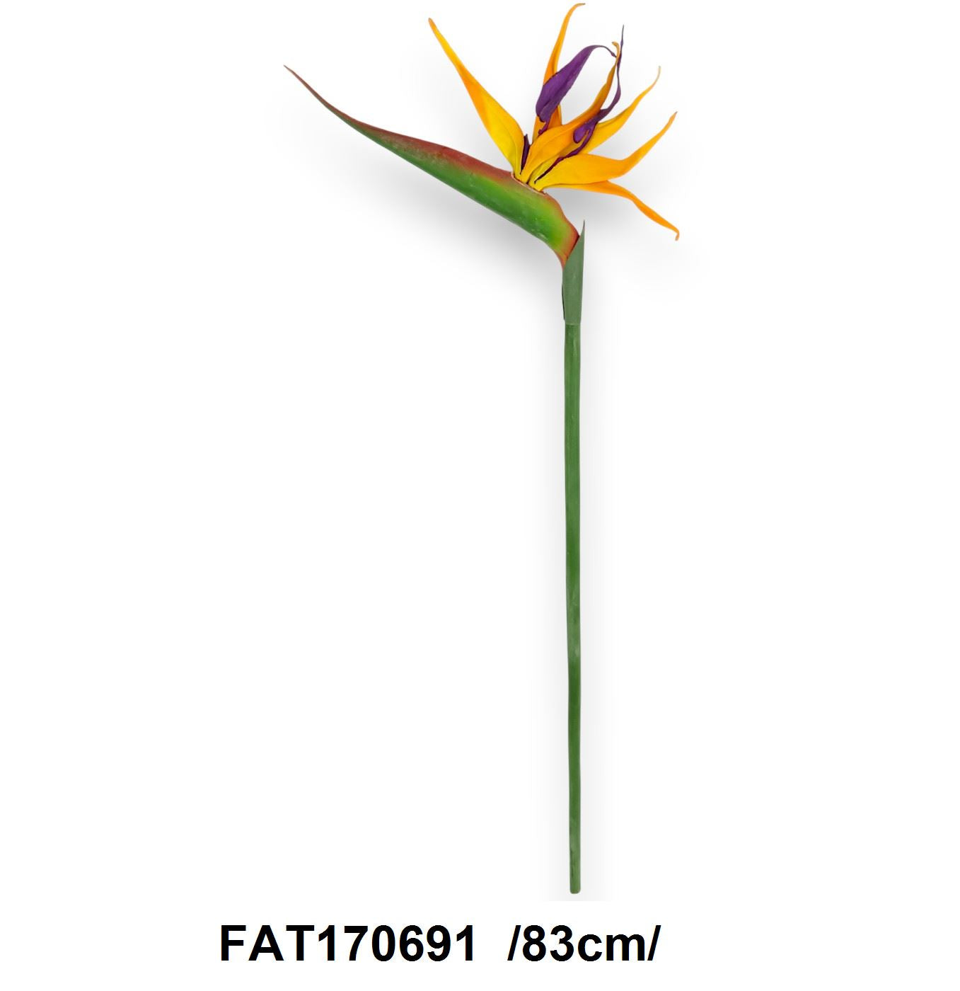 Gumi strelitzia ág /83cm/ Fő kép