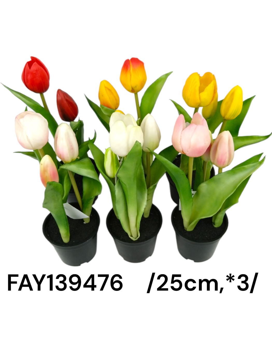 Cserepes, bimbós, tulipán, gumi  /25cm,*3/ Fő kép