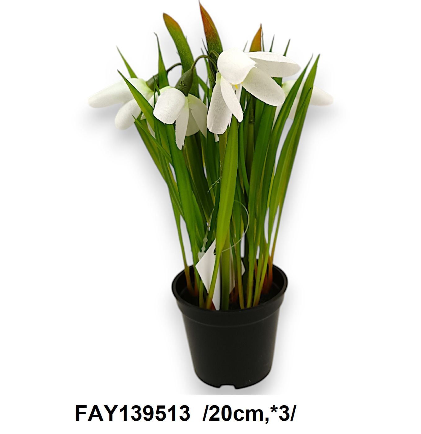 Cserepes hóvirág /20cm,*3/ Fő kép