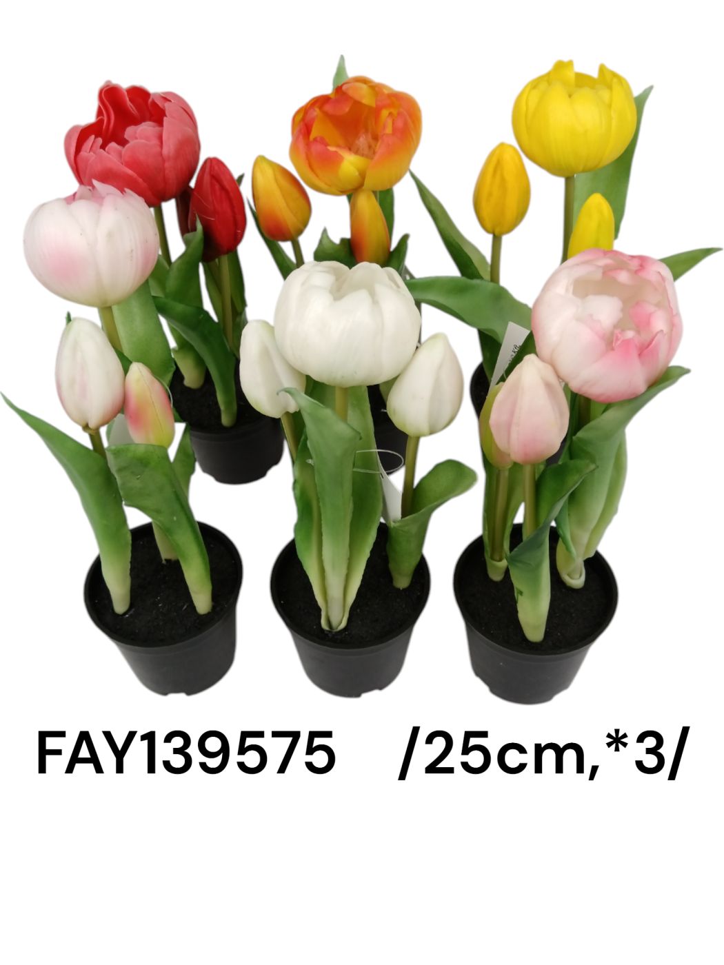 Cserepes,1 nyílott, 2 bimbós tulipán, gumi  /25cm,*3/
