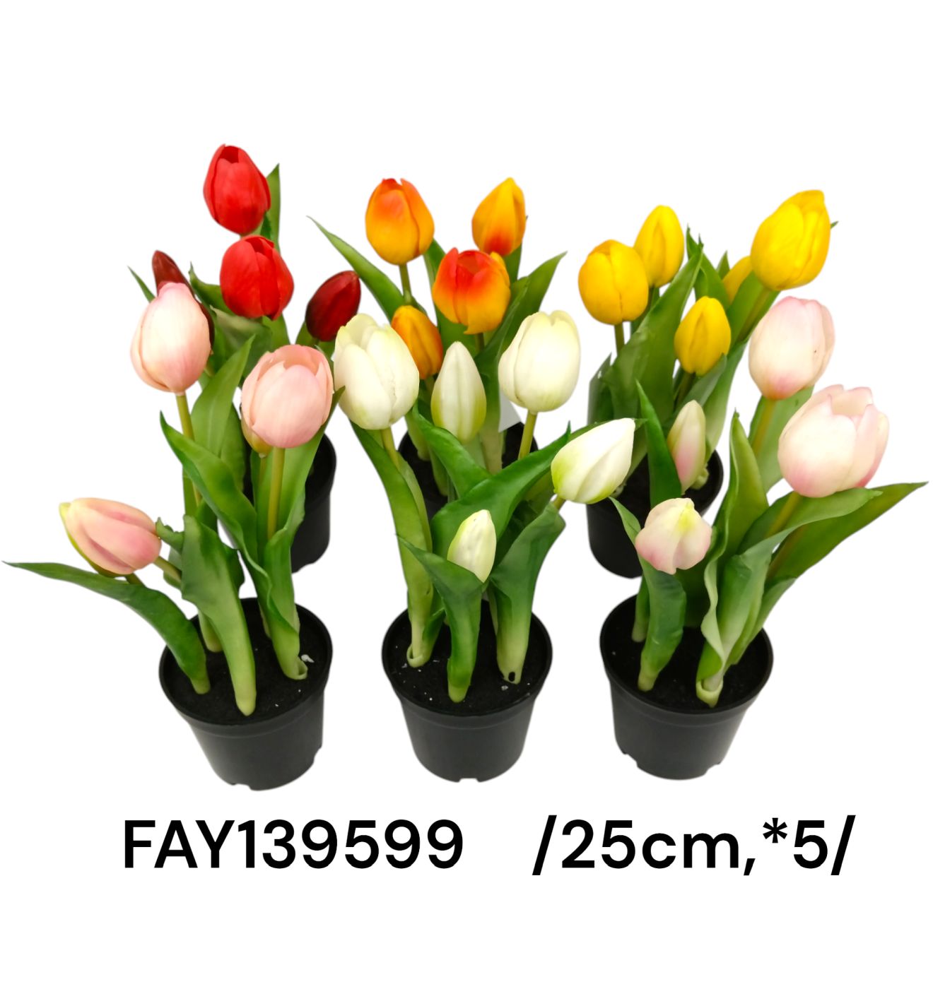 Cserepes, bimbós, tulipán, gumi  /25cm,*5/ Fő kép