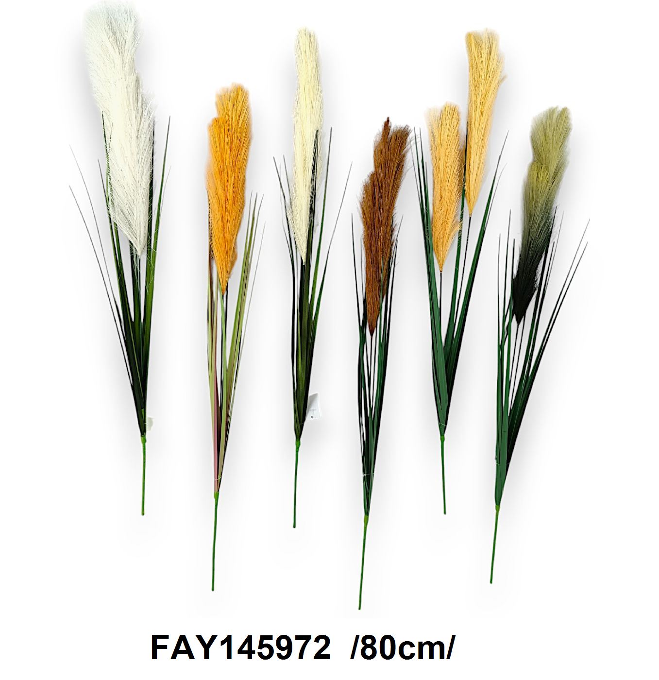 80 cm pampafû, levéllel Fő kép