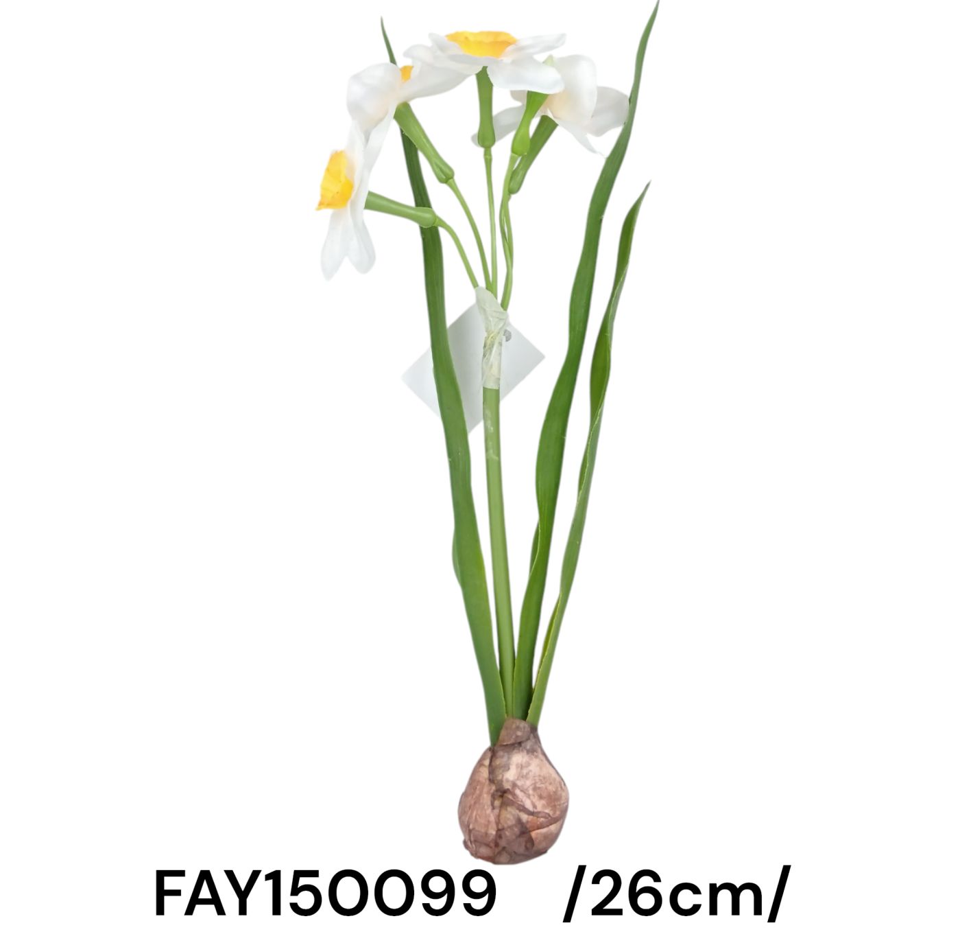 Hagymás nárcisz /26cm/ Fő kép
