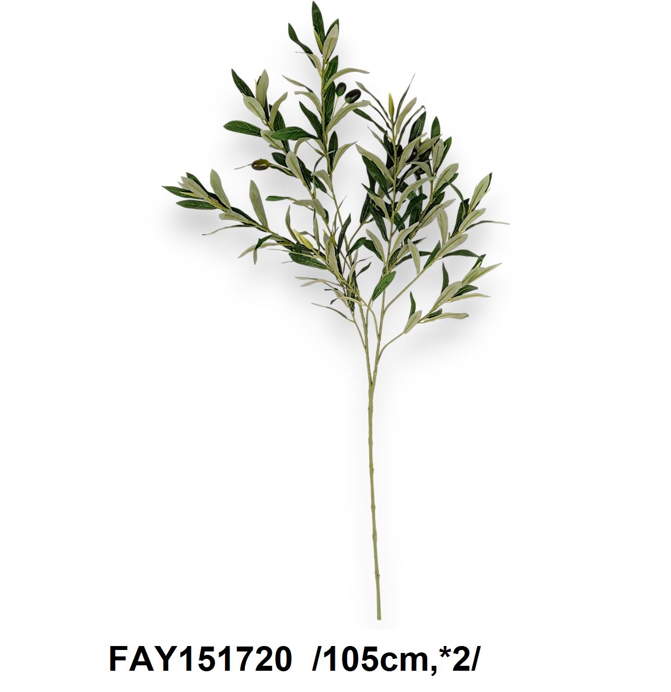 Olivabogyós ág, hosszú levelekkel /105cm,*2/ Fő kép