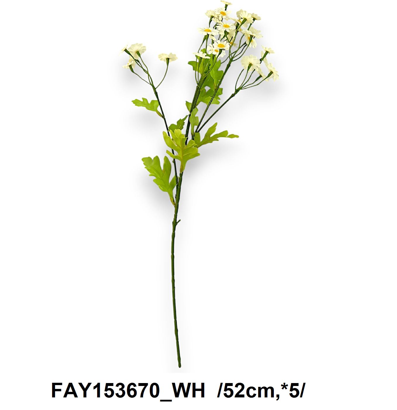 Kisfejes mezei virágos szál /52cm,*5/
