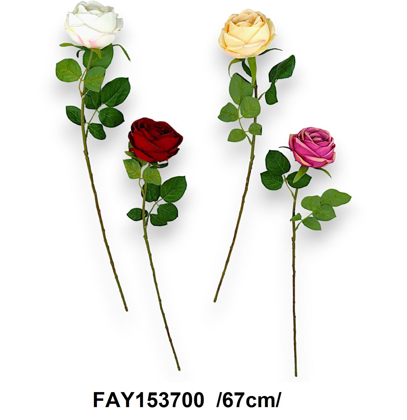 Tömött fejû szálas rózsa /67cm/