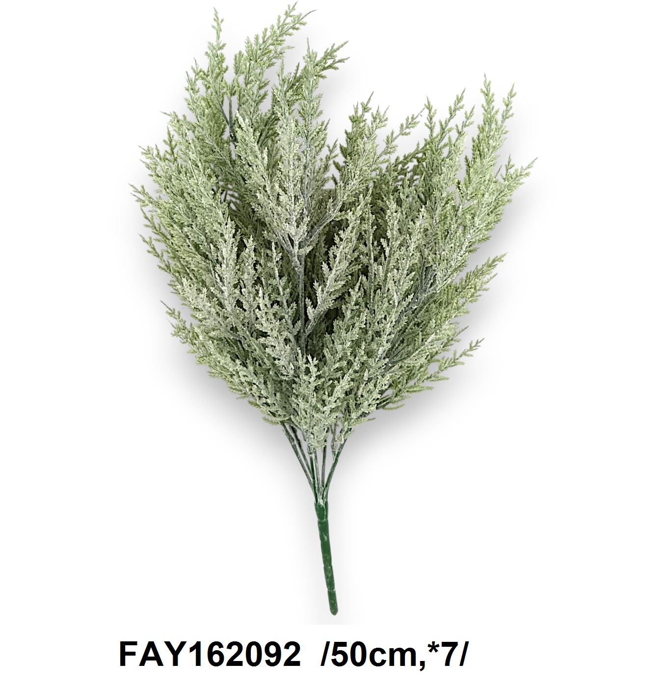 Jeges tujabokor /50cm,*7/ Fő kép