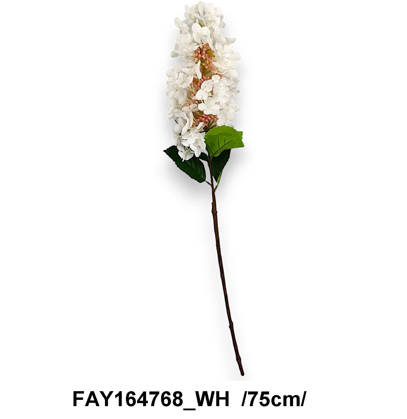 FAY164768_WH