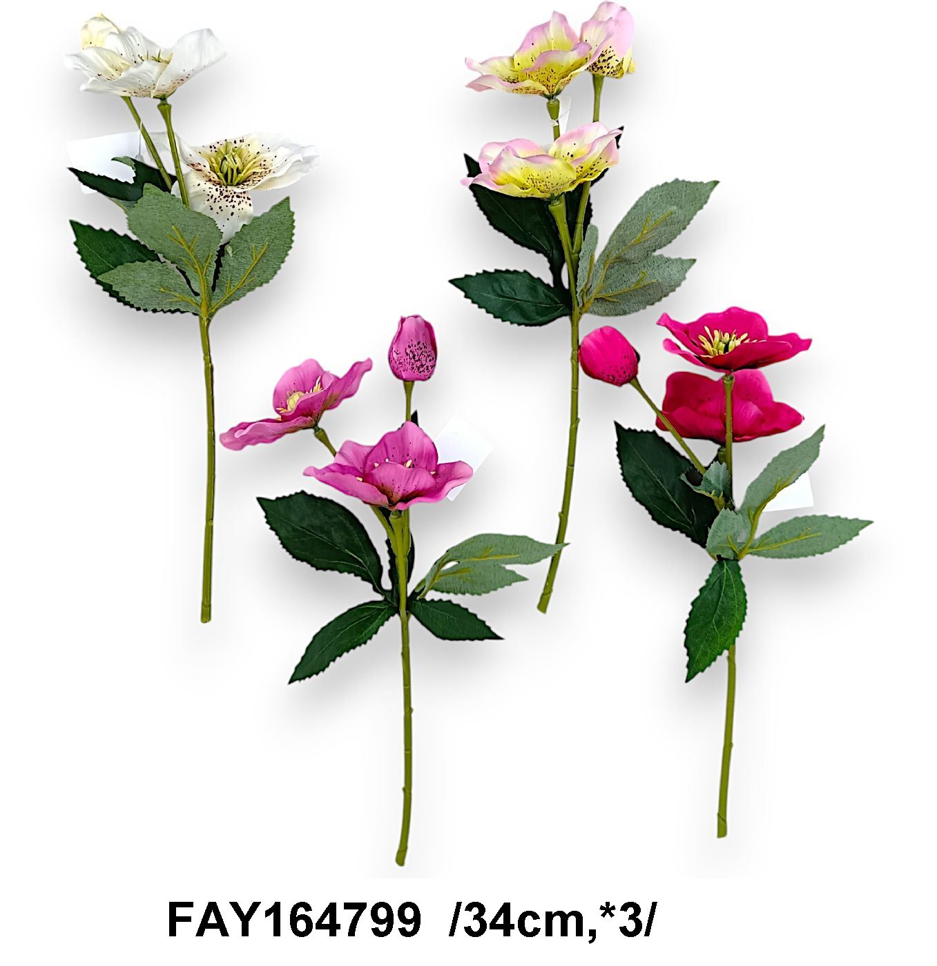 Szálas hunyor, 2 fejjel és egy bimbóval  /34cm,*3/ Fő kép