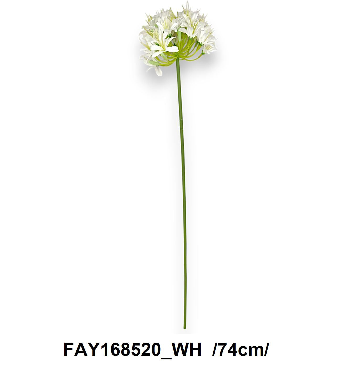 Szálas szerelemvirág /74cm/ Fő kép