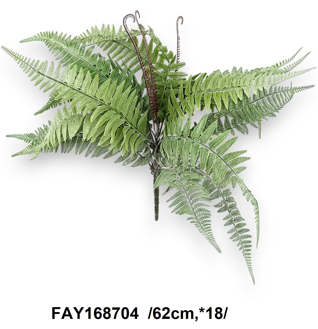 Hamvas páfránybokor /62cm,*18/ Fő kép