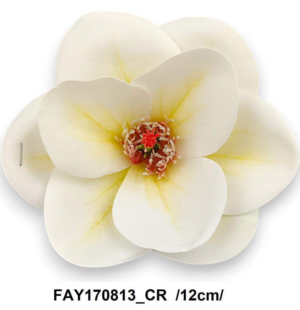 FAY170813_CR