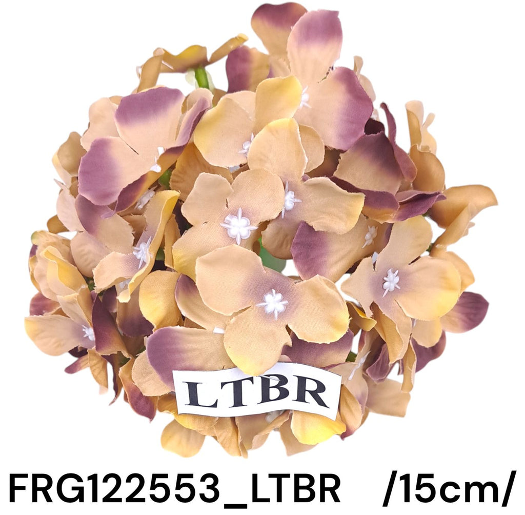 FRG122553_LTBR
