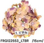 FRG122553_LTBR