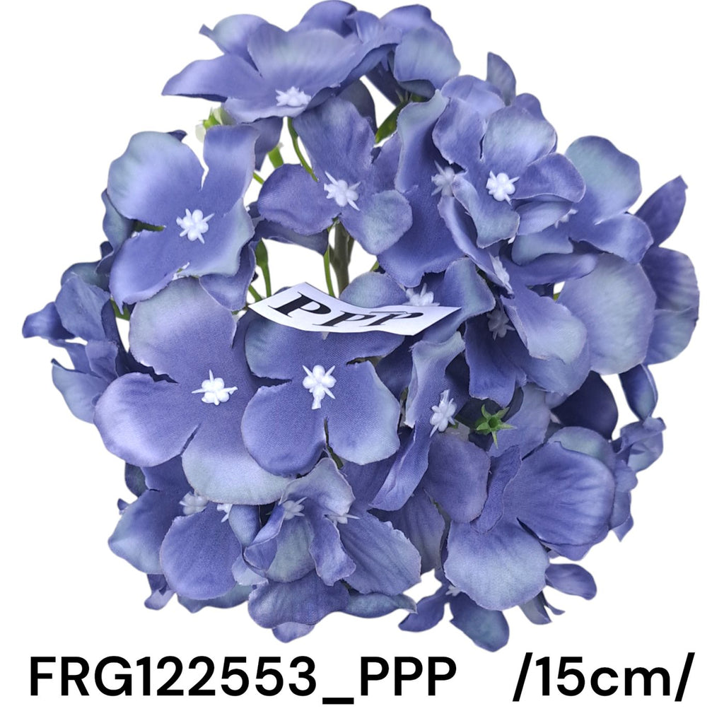 FRG122553_PPP